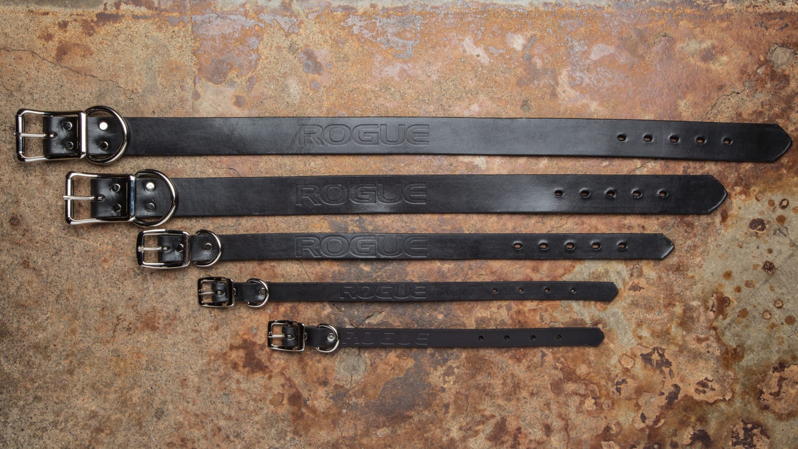 Rogue Leather Dog Collar Rogue Fitness Rogue Leather Dog Collar -Mueller Shop DOGCOLLAR web1 kiur9d