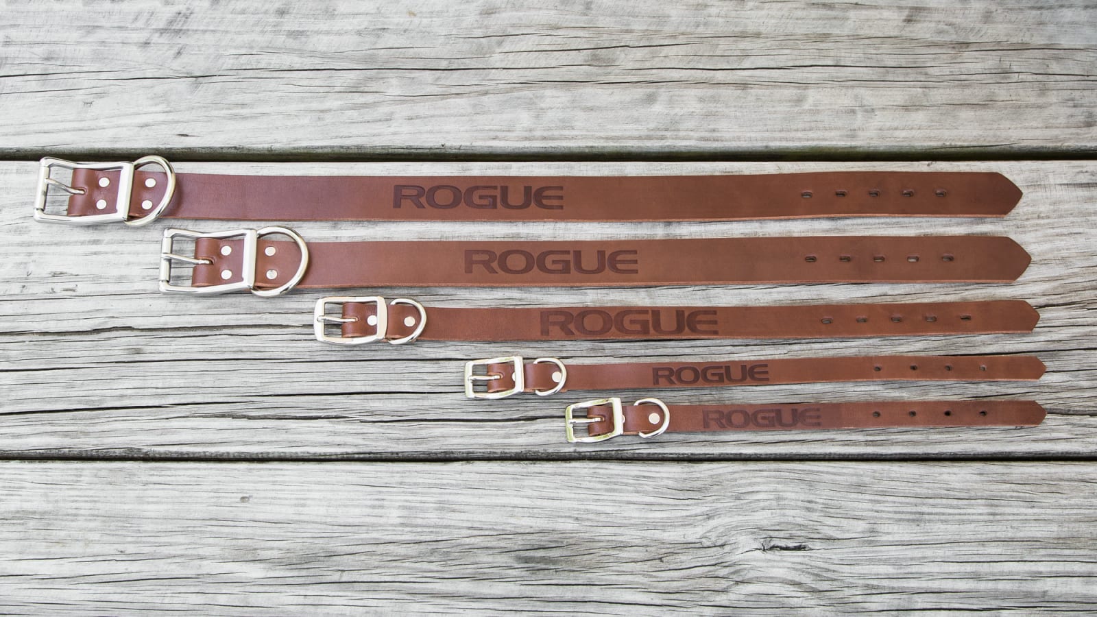 Rogue Leather Dog Collar Rogue Fitness Rogue Leather Dog Collar -Mueller Shop DOGCOLLAR web2 chrlwo