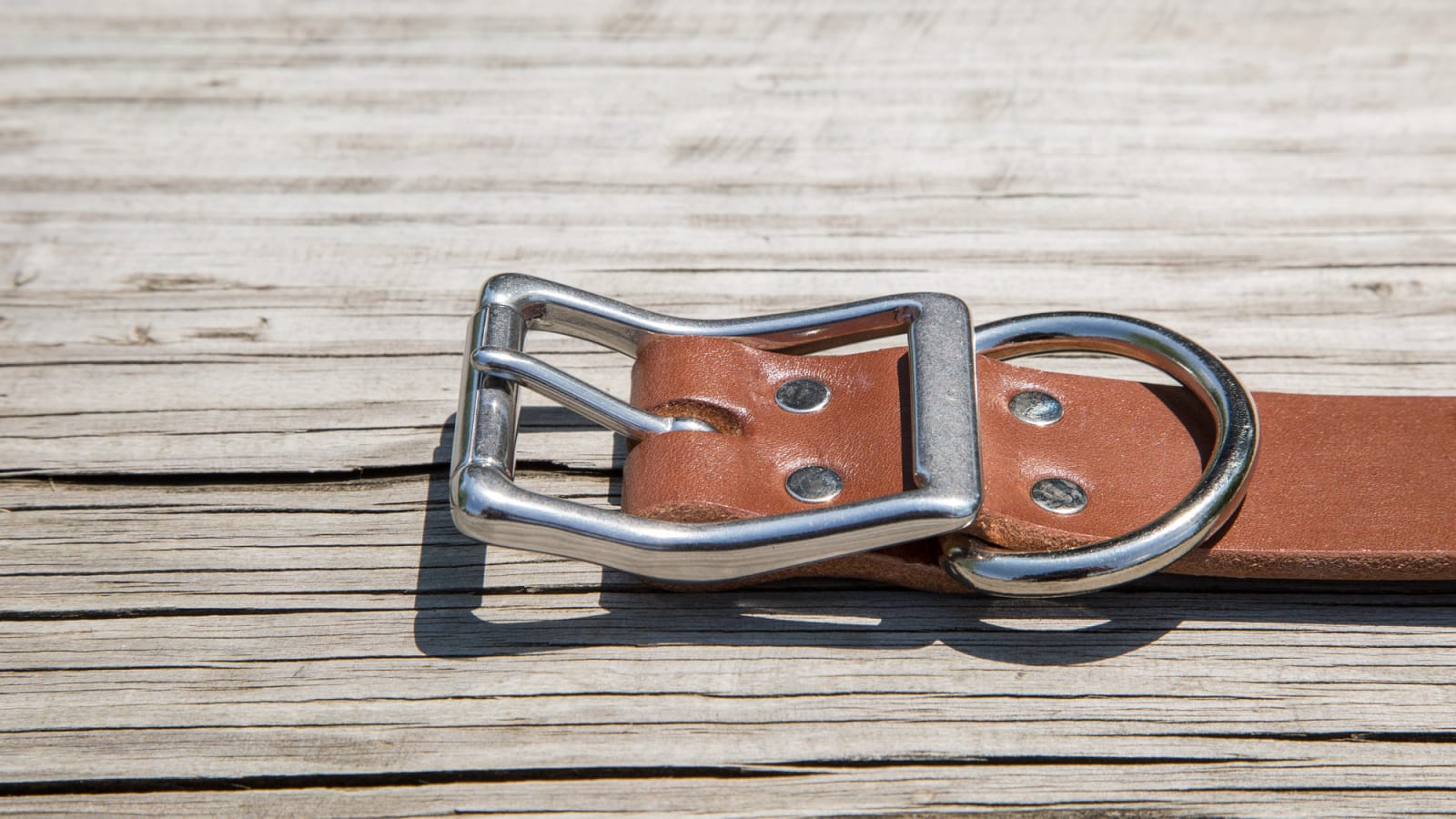 Rogue Leather Dog Collar Rogue Fitness Rogue Leather Dog Collar -Mueller Shop DOGCOLLAR web3 vp3r2m