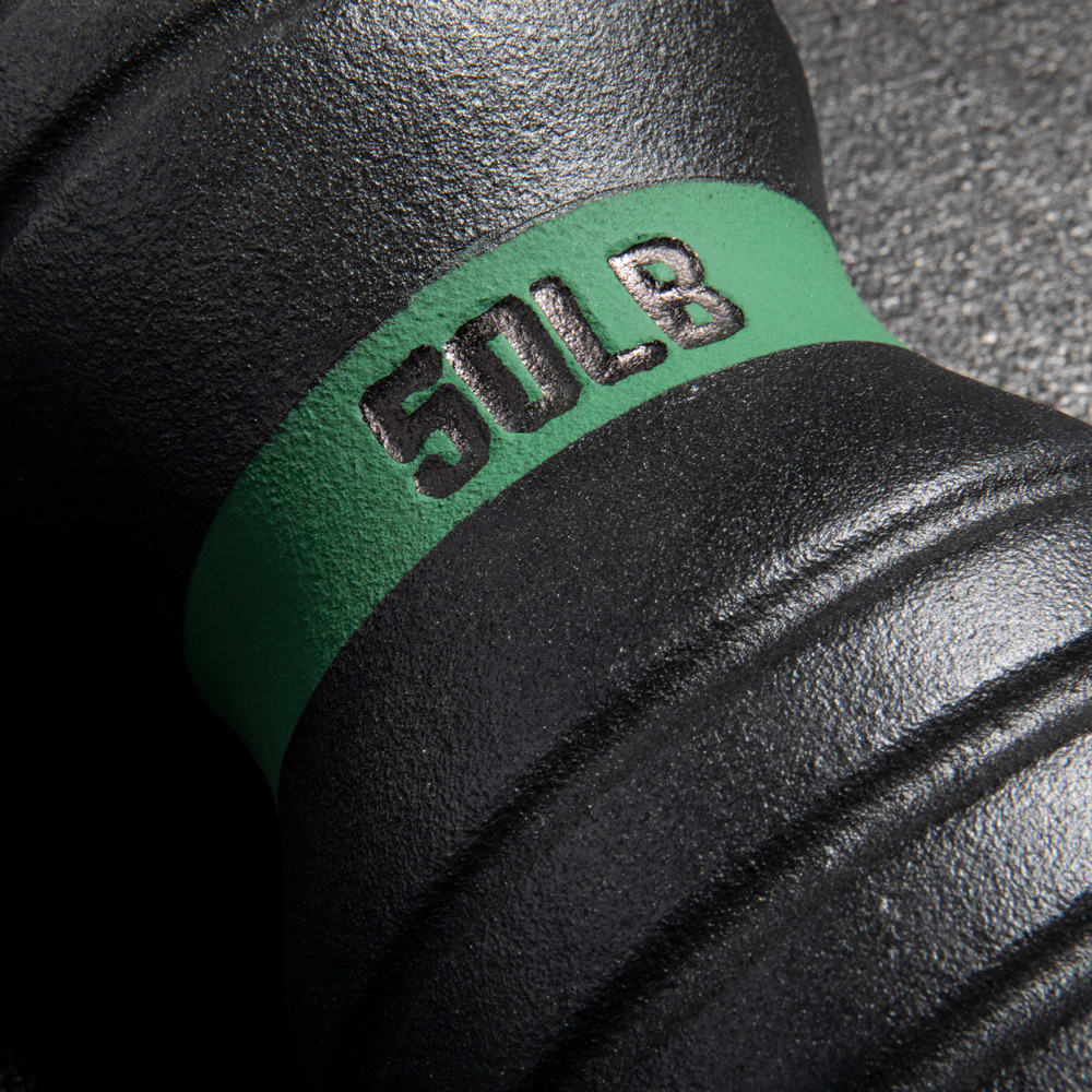 Rogue DT Tempering Roller Rogue Fitness Rogue DT Tempering Roller -Mueller Shop IP0190 WEB2 c1sdzj