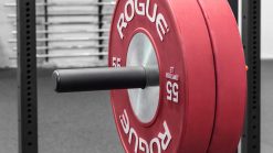 Rogue Fitness Monster Lite Plate Storage Channel Pair