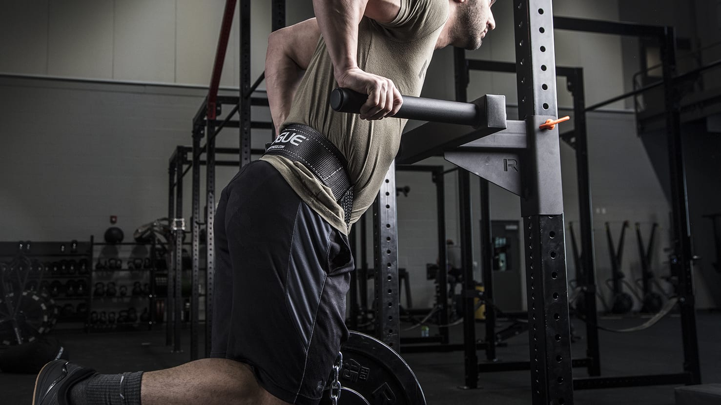Rogue Fitness Rogue Monster Lite Matador 3 Rogue Fitness Rogue Monster Lite Matador - Image 3