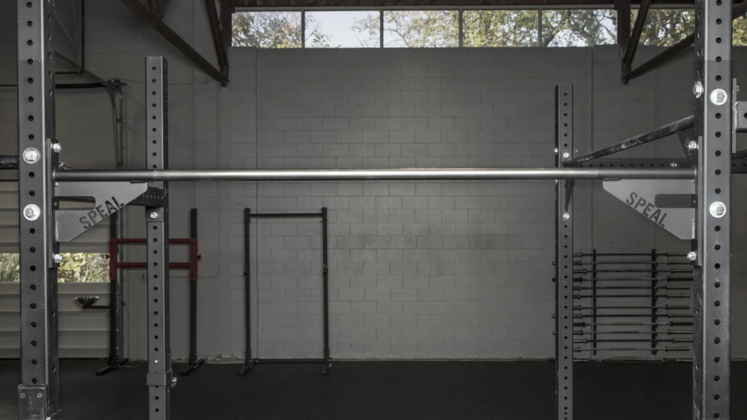 Rogue Fitness Rogue SPEAL Pull-up Bar 2.0