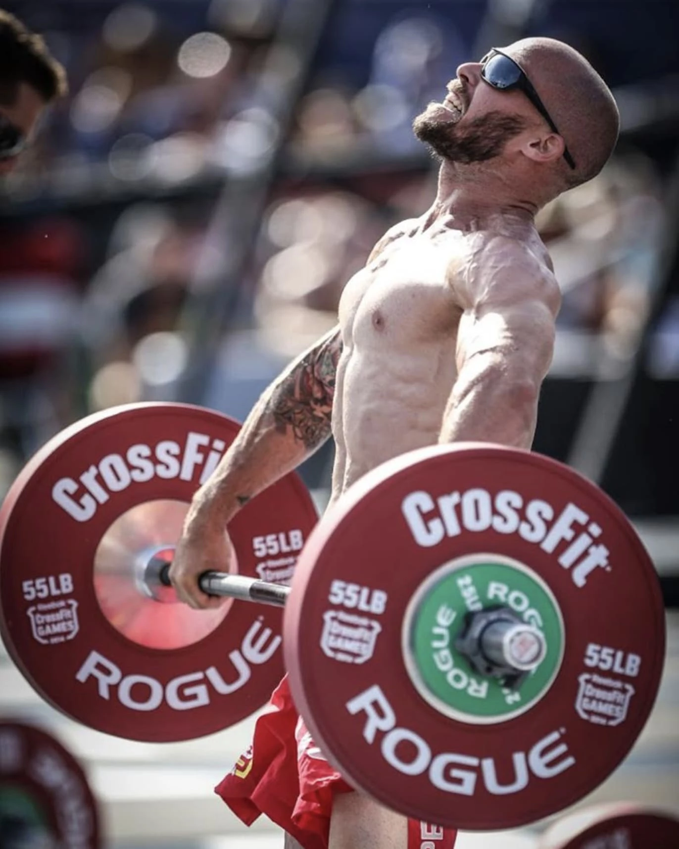 Rogue Fitness Rogue SPEAL Pull-up Bar 2.0 - Image 4