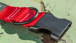 Rogue Fitness Rogue Nylon Dog Collar 3 Rogue Fitness Rogue Nylon Dog Collar -Mueller Shop RA098 web 3 otpzkw