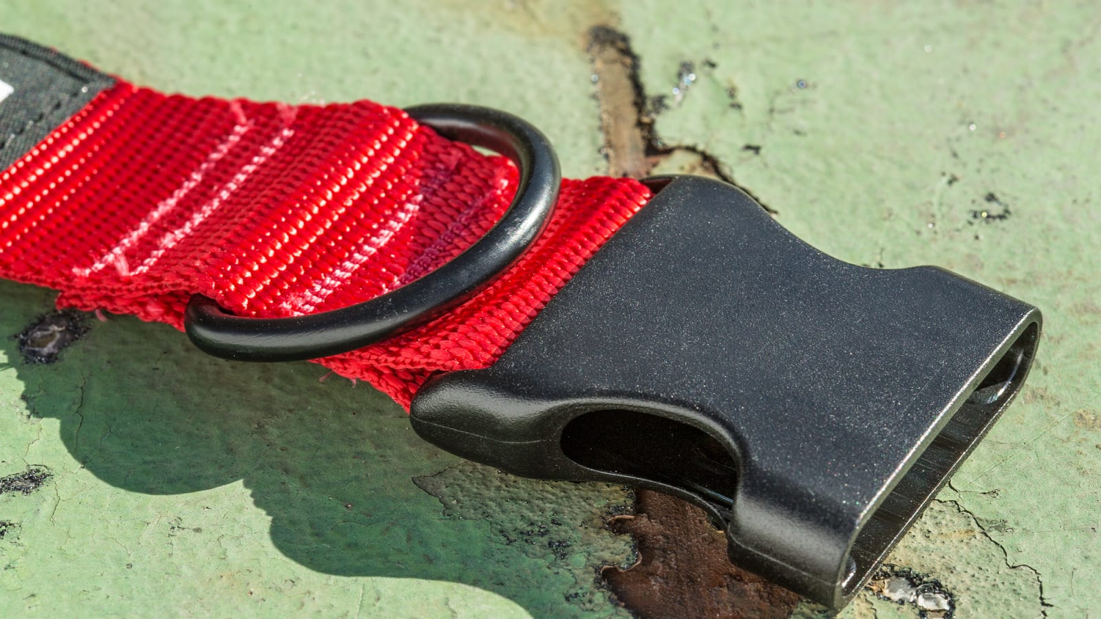 Rogue Nylon Dog Collar Rogue Fitness Rogue Nylon Dog Collar -Mueller Shop RA098 web 3 otpzkw