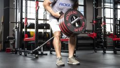 Rogue Fitness Rogue Monster Landmine 2.0 -Mueller Shop RA1671 web10 agizup