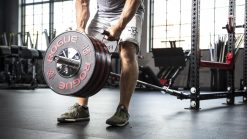 Rogue Fitness Rogue Monster Landmine 2.0 -Mueller Shop RA1671 web11 al1ils