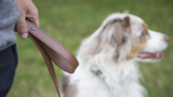 Rogue Fitness Rogue Leather Dog Leash -Mueller Shop WL0016 WEB3 fz7akh