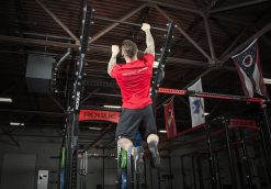 Rogue Fitness Rogue Monster Flying Pull-up Bar 7 Rogue Fitness Rogue Monster Flying Pull-up Bar -Mueller Shop monster flying pullup web2